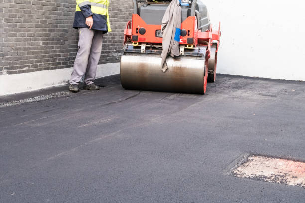 Best Cobblestone Driveway Installation  in Nicollet, MN